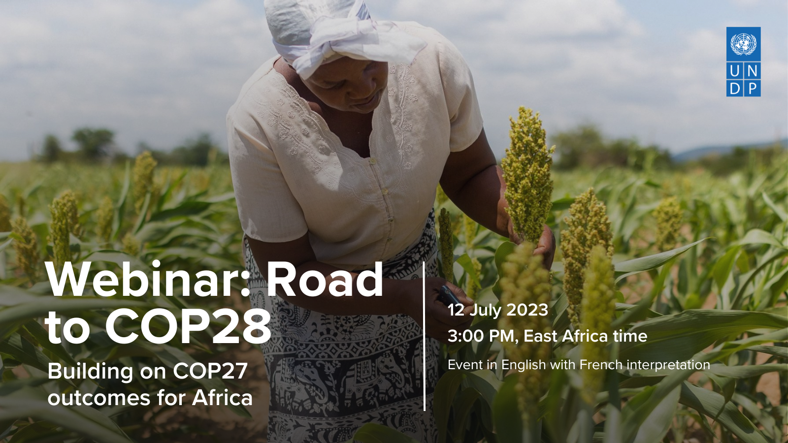 Webinar: Road To COP28 - Building On COP27 Outcomes For Africa ...